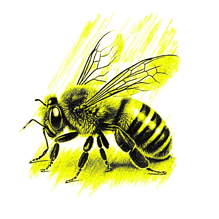 Bee2