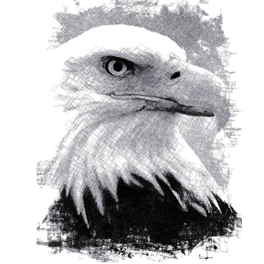 Eagle1