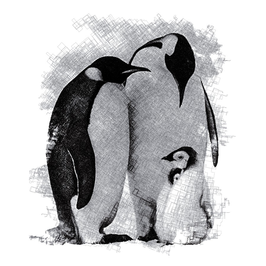 Penguins1