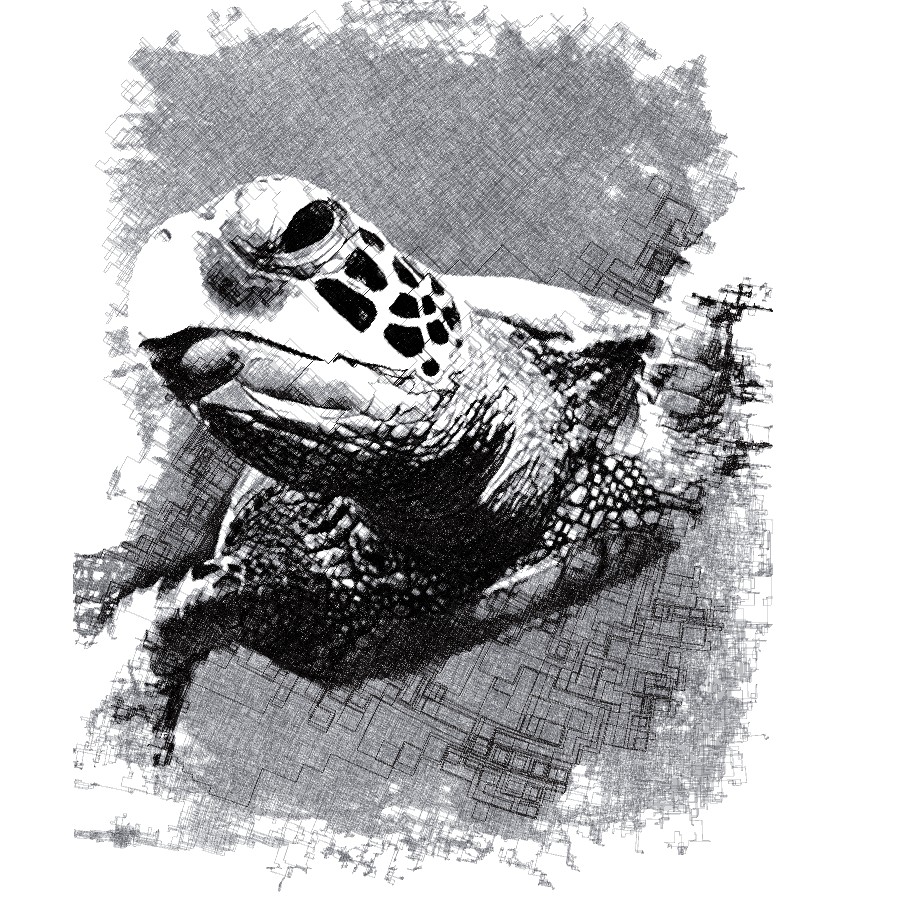 Seaturtle1