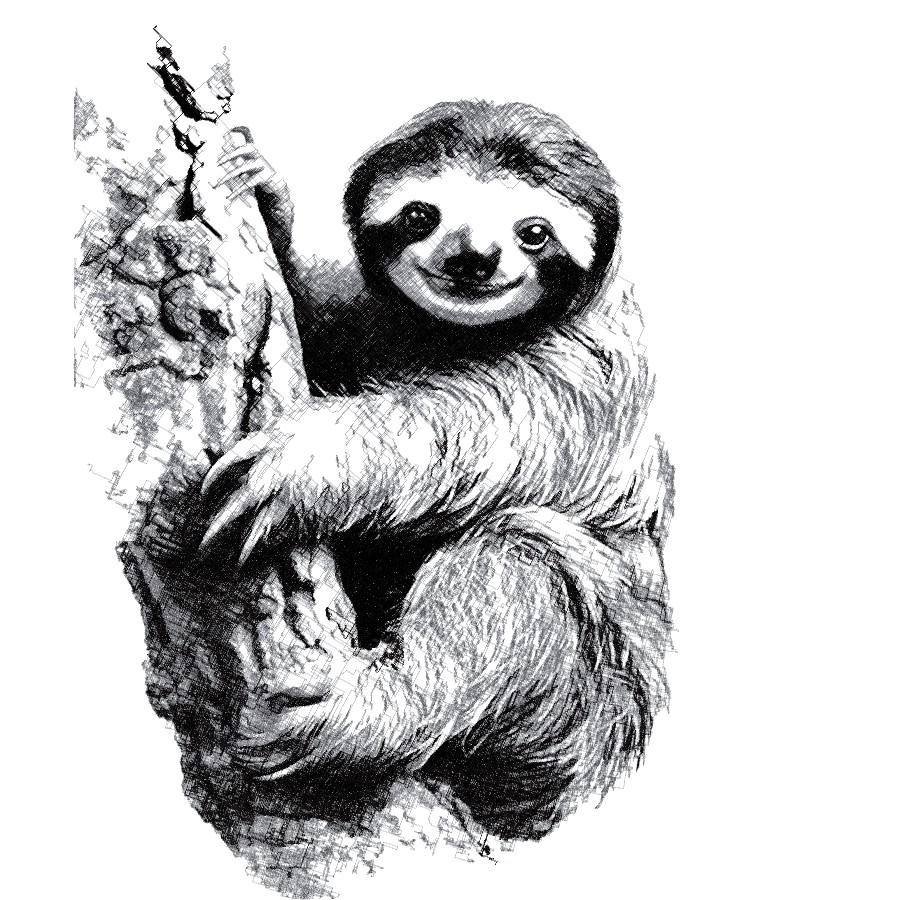 Sloth