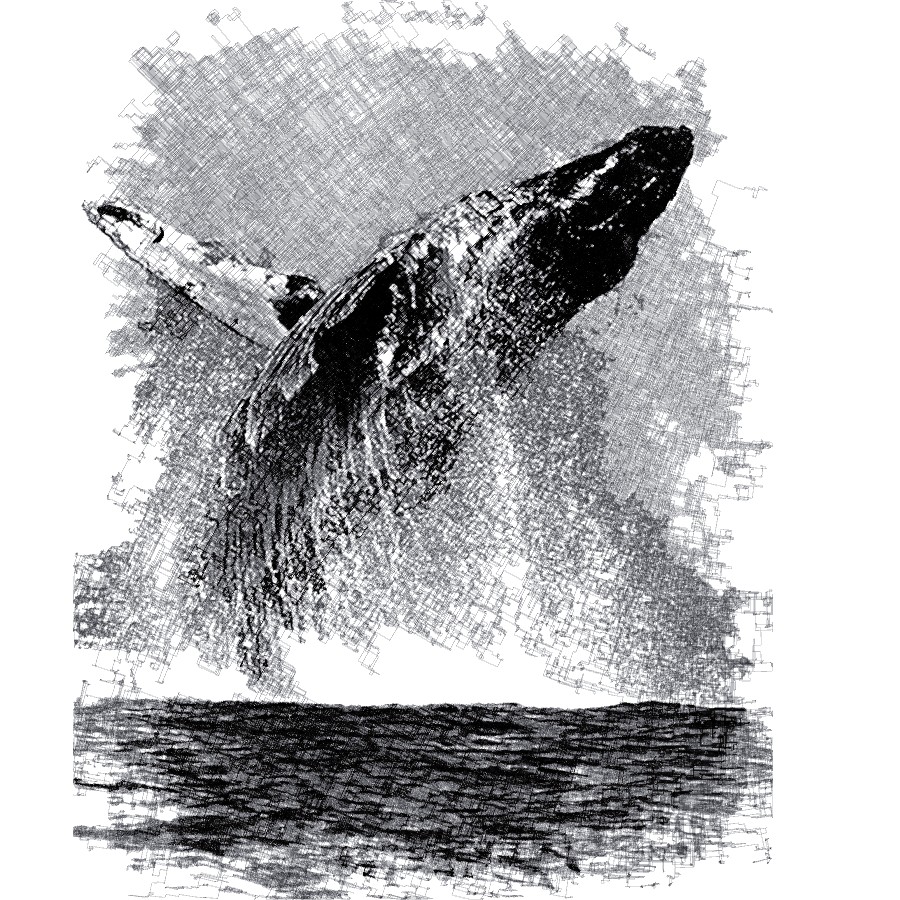 Whalebreach